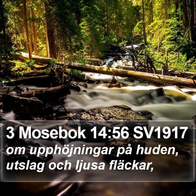 3 Mosebok 14:56 SV1917 Bible Verse Image