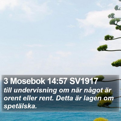 3 Mosebok 14:57 SV1917 Bible Verse Image