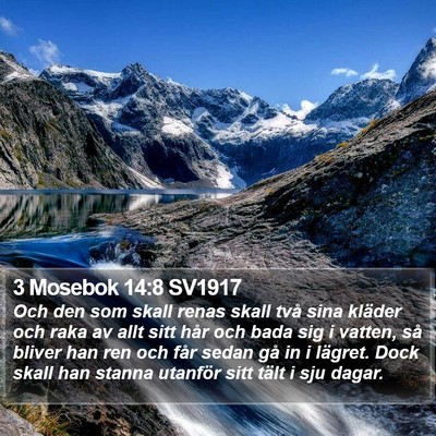 3 Mosebok 14:8 SV1917 Bible Verse Image