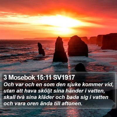 3 Mosebok 15:11 SV1917 Bible Verse Image