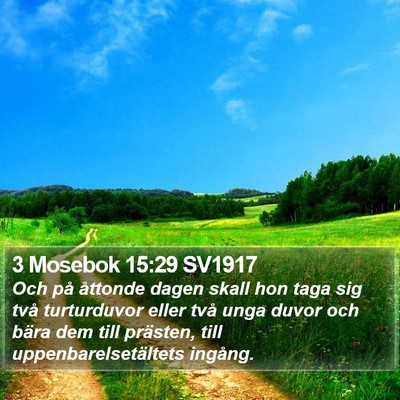3 Mosebok 15:29 SV1917 Bible Verse Image