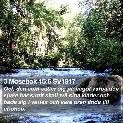 3 Mosebok 15:6 SV1917 Bible Verse Image