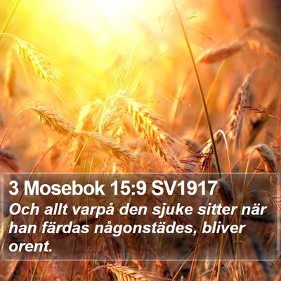 3 Mosebok 15:9 SV1917 Bible Verse Image