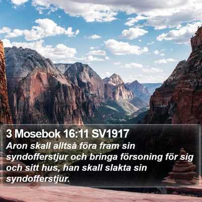 3 Mosebok 16:11 SV1917 Bible Verse Image