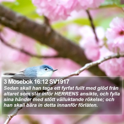 3 Mosebok 16:12 SV1917 Bible Verse Image