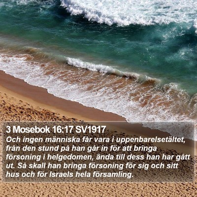 3 Mosebok 16:17 SV1917 Bible Verse Image