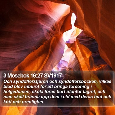 3 Mosebok 16:27 SV1917 Bible Verse Image