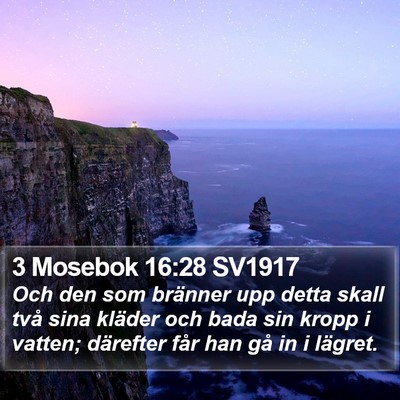 3 Mosebok 16:28 SV1917 Bible Verse Image