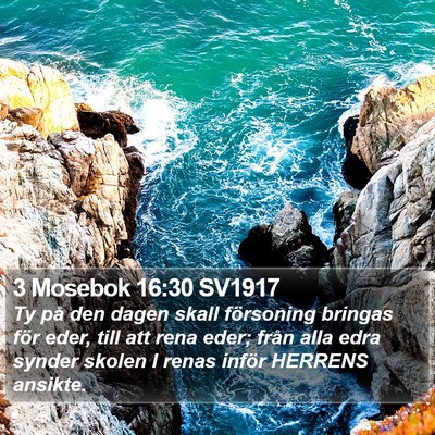 3 Mosebok 16:30 SV1917 Bible Verse Image