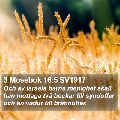 3 Mosebok 16:5 SV1917 Bible Verse Image