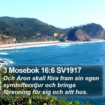 3 Mosebok 16:6 SV1917 Bible Verse Image