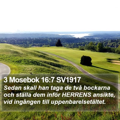 3 Mosebok 16:7 SV1917 Bible Verse Image