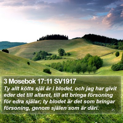 3 Mosebok 17:11 SV1917 Bible Verse Image