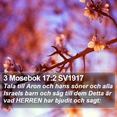 3 Mosebok 17:2 SV1917 Bible Verse Image