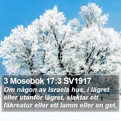 3 Mosebok 17:3 SV1917 Bible Verse Image
