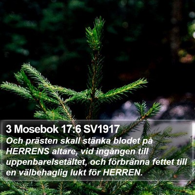 3 Mosebok 17:6 SV1917 Bible Verse Image