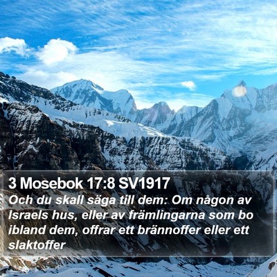 3 Mosebok 17:8 SV1917 Bible Verse Image