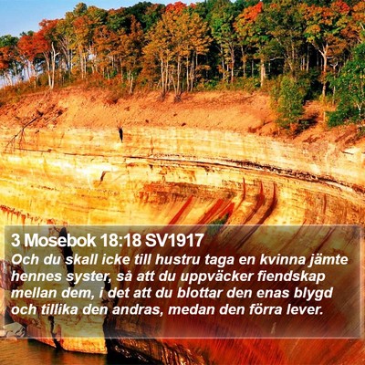 3 Mosebok 18:18 SV1917 Bible Verse Image