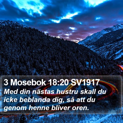 3 Mosebok 18:20 SV1917 Bible Verse Image