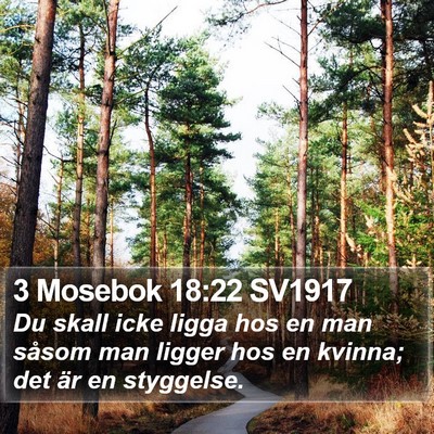 3 Mosebok 18:22 SV1917 Bible Verse Image