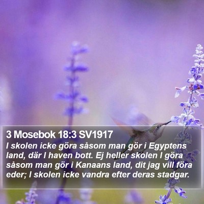 3 Mosebok 18:3 SV1917 Bible Verse Image