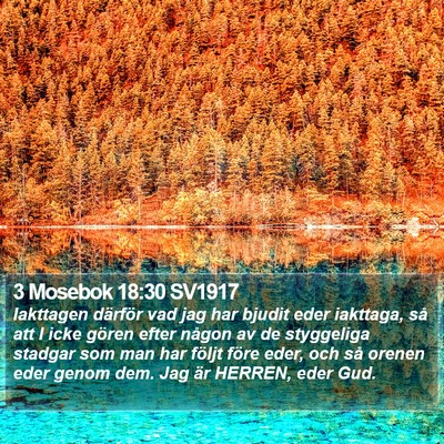 3 Mosebok 18:30 SV1917 Bible Verse Image