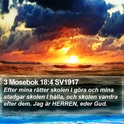 3 Mosebok 18:4 SV1917 Bible Verse Image