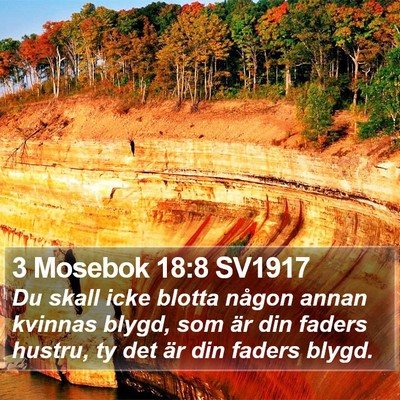 3 Mosebok 18:8 SV1917 Bible Verse Image