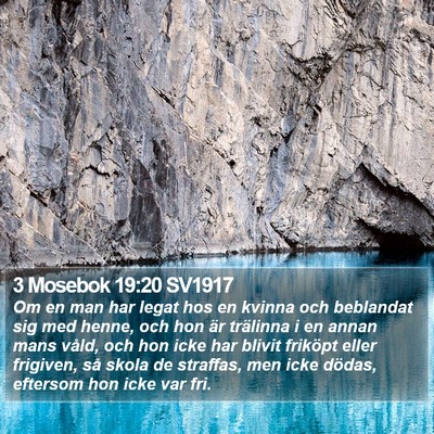 3 Mosebok 19:20 SV1917 Bible Verse Image