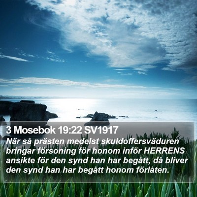 3 Mosebok 19:22 SV1917 Bible Verse Image