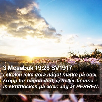 3 Mosebok 19:28 SV1917 Bible Verse Image