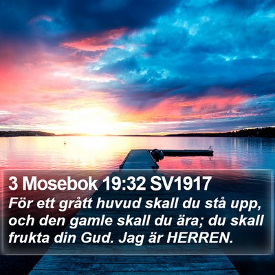 3 Mosebok 19:32 SV1917 Bible Verse Image