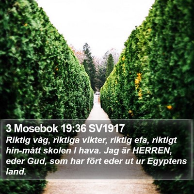 3 Mosebok 19:36 SV1917 Bible Verse Image