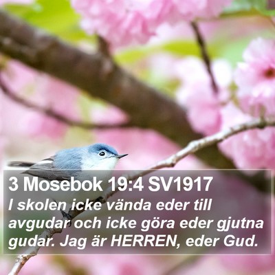3 Mosebok 19:4 SV1917 Bible Verse Image