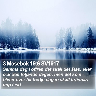 3 Mosebok 19:6 SV1917 Bible Verse Image