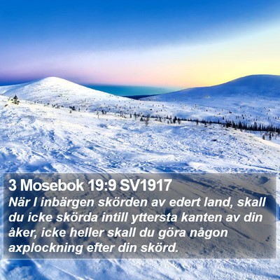 3 Mosebok 19:9 SV1917 Bible Verse Image