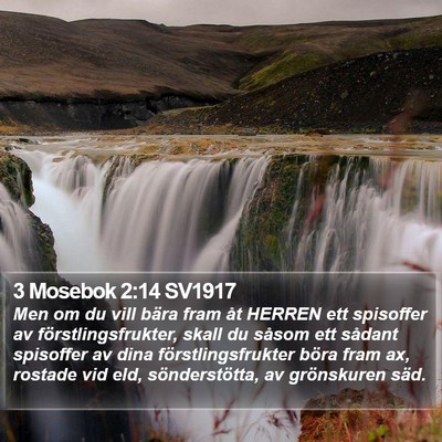 3 Mosebok 2:14 SV1917 Bible Verse Image