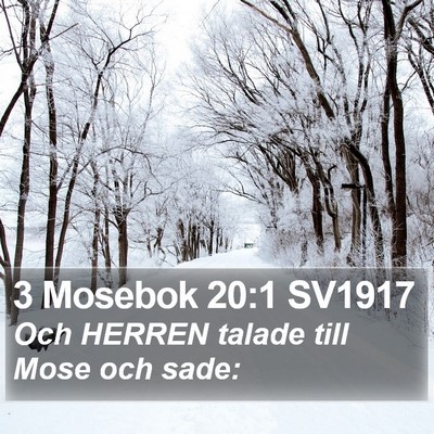 3 Mosebok 20:1 SV1917 Bible Verse Image