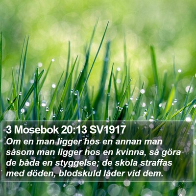 3 Mosebok 20:13 SV1917 Bible Verse Image