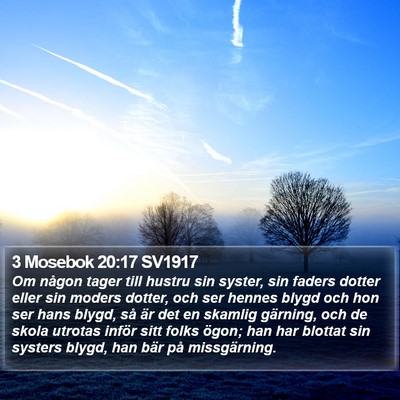 3 Mosebok 20:17 SV1917 Bible Verse Image