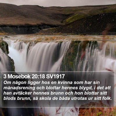 3 Mosebok 20:18 SV1917 Bible Verse Image