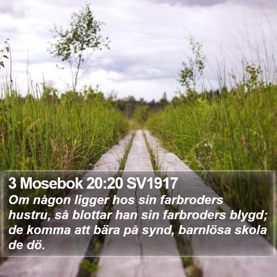 3 Mosebok 20:20 SV1917 Bible Verse Image