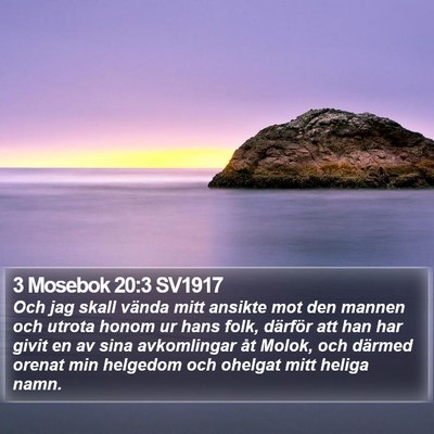 3 Mosebok 20:3 SV1917 Bible Verse Image