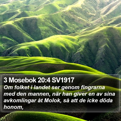 3 Mosebok 20:4 SV1917 Bible Verse Image