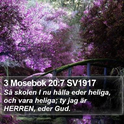 3 Mosebok 20:7 SV1917 Bible Verse Image