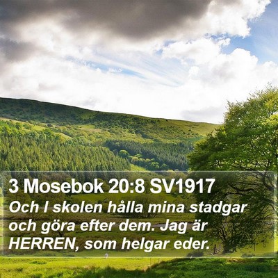 3 Mosebok 20:8 SV1917 Bible Verse Image