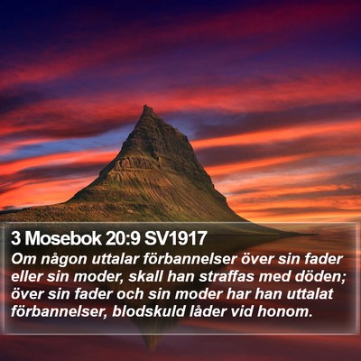 3 Mosebok 20:9 SV1917 Bible Verse Image