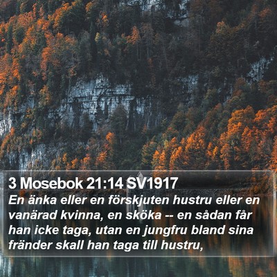 3 Mosebok 21:14 SV1917 Bible Verse Image