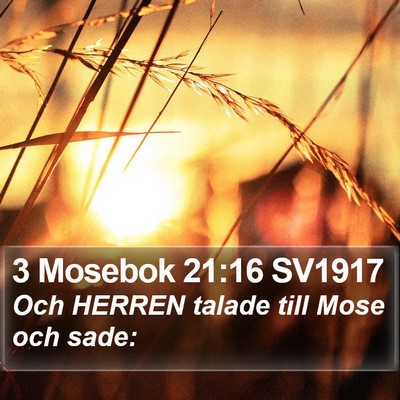 3 Mosebok 21:16 SV1917 Bible Verse Image