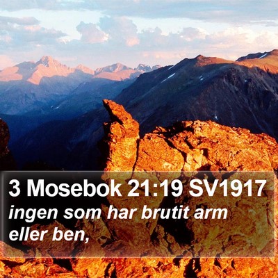 3 Mosebok 21:19 SV1917 Bible Verse Image